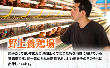 【定期便】計3回お届け 朝獲れ卵 味宝卵 (計90個) 30個×3回お届け 卵 Lサイズ 鶏卵 《お申込み月の翌月より出荷開始》 福岡 鞍手町 卵 Lサイズ 鶏卵 送料無料