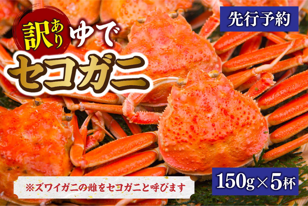 【先行予約】【訳あり 茹でセコガニ 約150g×5匹 冷蔵】令和7年11月中旬以降順次発送予定 せこがに かに 蟹 カニ 香住 兵庫県 香美町 香住 柴山 マルヨ食品 マルヨダイレクト 17-33