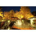 【ふるさと納税】おかざき楽の湯　全日入泉券17枚【1262474】