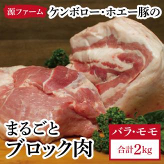 ケンボロー・ホエー豚　ブロック肉 2kgセット【配送不可地域：離島】