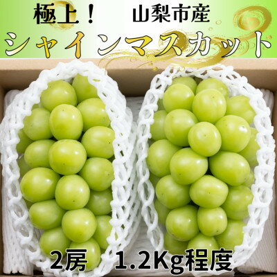 【ふるさと納税】【2025年先行予約】極上!農福連携シャインマスカット2房(2房1.2kg程度) 山梨市ふるさと納税【配送不可地域：離島】【1368293】