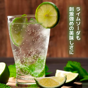 炭酸水 定期便 隔月 6回 500ml×24本 缶 ボトル缶 6ヶ月 お届け 定期 お楽しみ 兵庫県 福崎町 ソーダ おいしい水 ソーダ割 ドリンク ボトル 缶