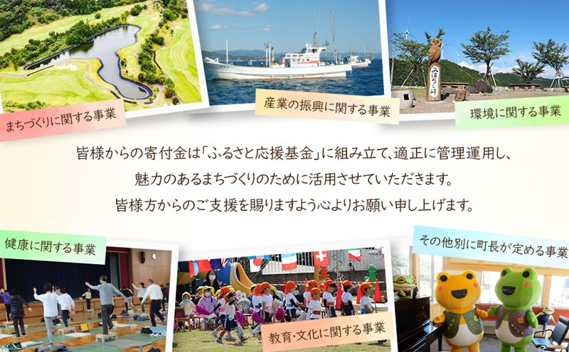 日本三大うちわ 京うちわ 仲秋 青 1枚  箱入り