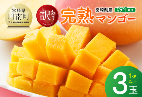 【令和7年発送】【 訳あり 】 宮崎県産完熟マンゴー 3玉 【 果物 フルーツ マンゴー 宮崎県産 完熟マンゴー みやざきマンゴー 先行予約 】[D03214]