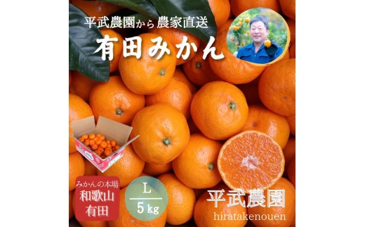 
                  農家直送！有田みかん（5kg Lサイズ 秀品）平武農園　～蛍飛ぶ町から旬の便り～
                