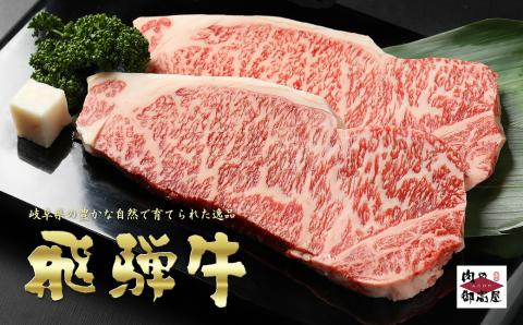 【冷蔵配送】飛騨牛 サーロインステーキ ローススライス 焼肉用ロース 特盛セット