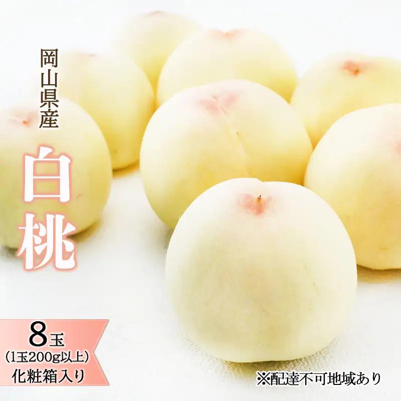 白桃 化粧箱入り 岡山県産 白桃【8玉 1玉200g以上】【先行予約】