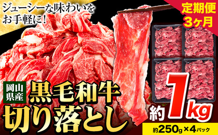 【3ヶ月定期便】牛肉 肉 黒毛和牛 切り落とし 訳あり 大容量 小分け 1kg 1パック 250g 定期便《お申込み月翌月から出荷開始》岡山県産 岡山県 笠岡市 お肉 にく カレー 牛丼 切り落し 切落し