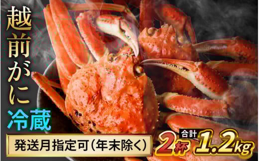 【先行予約】 【3月配送】 越前がに 600ｇ×2杯 小浜市 / まるほ商店 【配送不可地域：北海道・沖縄・離島】[BFCS019-3]