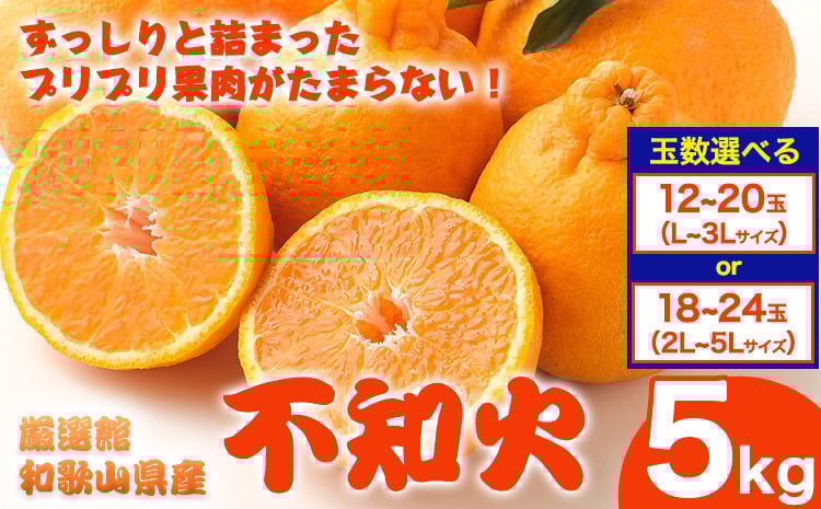 
                  和歌山県産 不知火 選べる 約5kg 厳選館《2月中旬-4月上旬頃出荷》和歌山県 日高川町 デコポン でこぽん 柑橘 不知火 しらぬい 大玉 送料無料
                