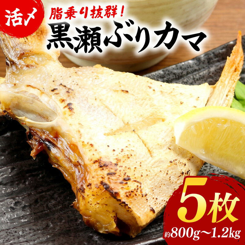 【ふるさと納税】【数量限定】活じめ！黒瀬ぶりカマ（5枚入）（800g～1.2kg前後）ぶり カマ ぶりかま 国産 ふるさと おすすめ 海鮮 特産品 お取り寄せ グルメ ギフト 塩焼き 煮付け 宮崎 セット 黒瀬ぶり 家庭用 おかず 魚 宮崎県 串間市 送料無料