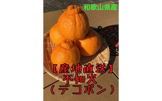 
【産地直送】☆不知火☆家庭用☆約3kg
