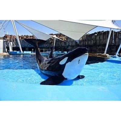 ふるさと納税 名古屋市 名古屋港水族館オリジナル御朱印帳(水族館大人入館券付き) |  | 03