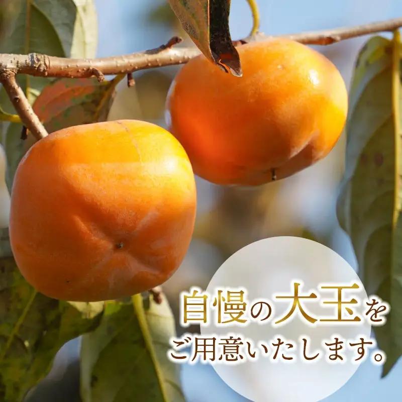 【令和8年産先行予約】にこにこふぁーむのあまーい庄内柿　大玉ピカピカ特選　2L×6個（化粧箱入り）　糖度16度以上　K-843