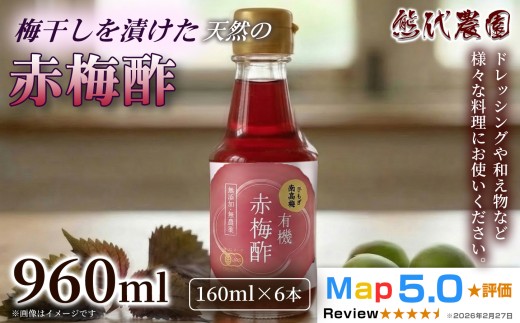 梅酢 (160ml) × 6本 | 梅酢 梅 ウメ うめ 酢 す 発酵 調味料 国産 健康 美容 有機 自然 酢の物 ドレッシング 浅漬け | 奈良県 五條市