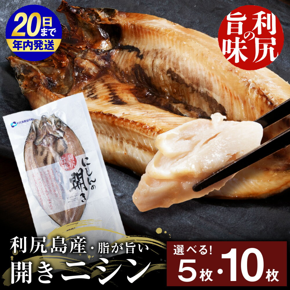 【ふるさと納税】【12月20日決済確定分まで年内発送】 利尻島産 開きニシン 選べる5枚〜10枚 ＜利尻漁業協同組合＞魚 開き にしん 鰊 パック 小分け 北海道ふるさと納税 利尻富士町 ふるさと納税 北海道