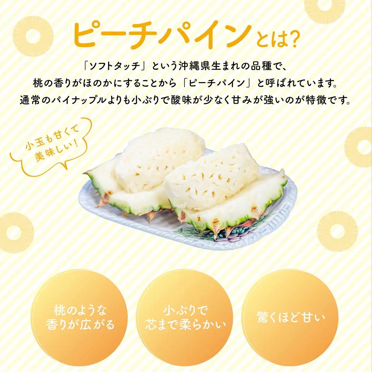 【2027年先行予約】定期便 2ヶ月 ピーチパイン 約3.5kg