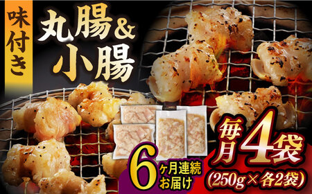 【6回定期便】【塩だれ】九州産和牛ホルモン 2種 計1kg（小腸250g×2袋・丸腸250g×2袋） [EAX156] ホルモン焼肉定期便 ホルモン焼肉定期便 ホルモン焼肉定期便 ホルモン焼肉定期便 ホルモン焼肉定期便