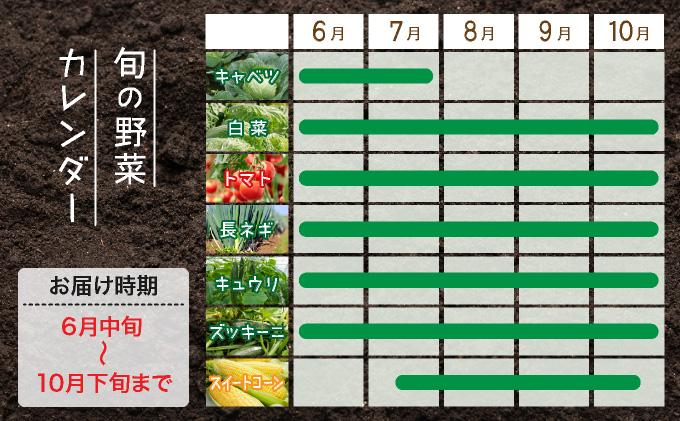 ＜定期便2回＞北海道 伊達市 産直・旬のおまかせ野菜詰合せ 9～10種【dnk-007】 定期便2回