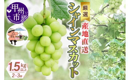 厳選！産地直送ぶどう「シャインマスカット」1.5kg以上（2～3房）【2025年発送】（KKH）B12-490