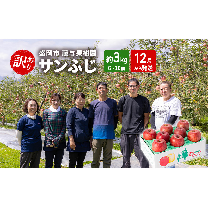 盛岡から「農で人をつなぐ」藤与果樹園：《訳アリ》サンふじ3kg 藤与果樹園 訳アリ 不揃い 傷 規格外 フルーツ 果物 旬のフルーツ 旬の果物 旬 冬 岩手 盛岡 産地直送 11月から発送