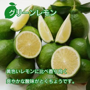訳あり レモン (グリーンレモン) 5kg 種なし ノーワックス りのか ワックス不使用 みかん職人武田屋 グリーンレモン