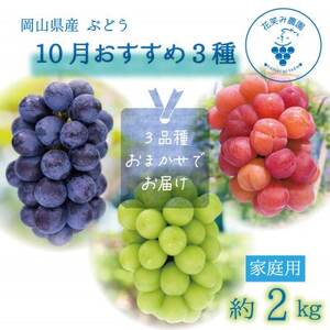 岡山　花笑み農園のブドウ『10月おすすめ3種セット』家庭用(3房)　3M-2L家【10月～順次発送】【配送不可地域：離島・北海道・沖縄県】【1626672】