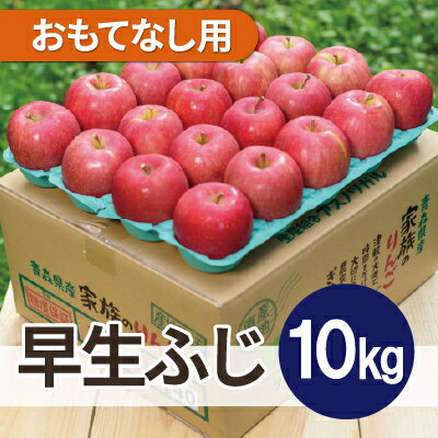 【ふるさと納税】【2025年10月発送予定】平均糖度12度以上! 早生ふじ 約10kg おもてなし用【配送不可地域：離島・沖縄県】【1607517】