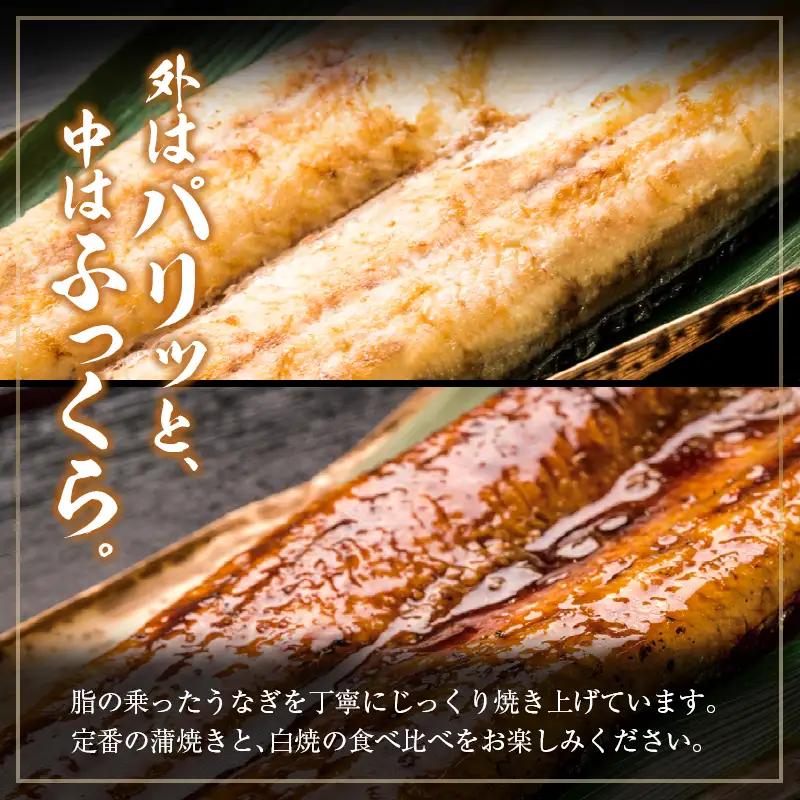 【土用の丑の日】うなぎ白焼・蒲焼セット 合計362g以上 肝焼き付 中村商店