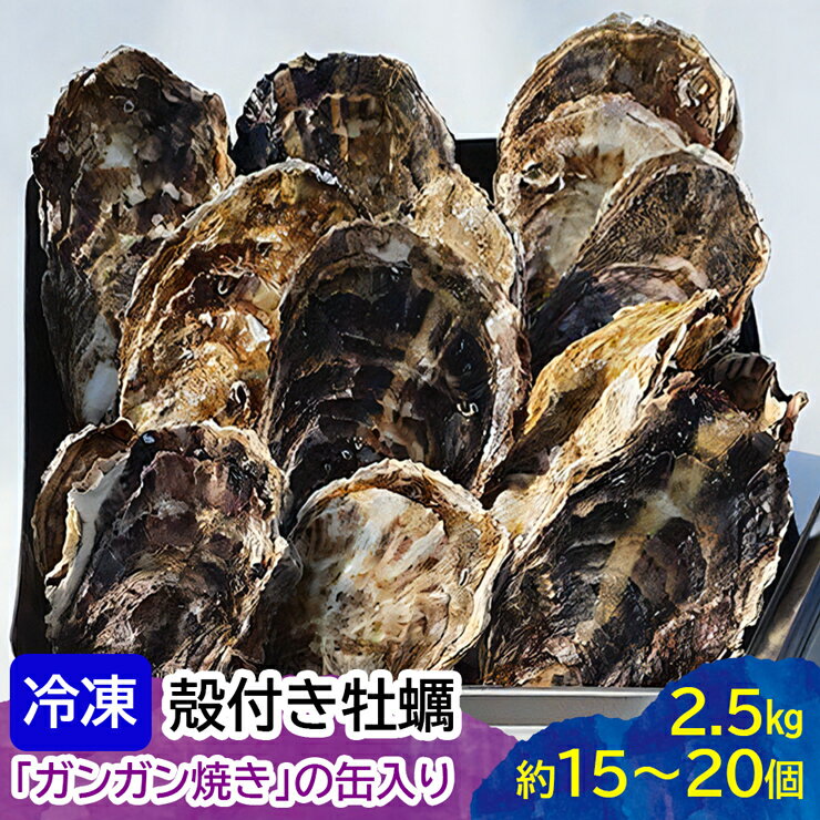 【ふるさと納税】オレのガンガン焼き (冷凍殻付) 2.5kg (約15個から20個)｜牡蠣 殻付き牡蠣 海の幸 貝類 [2221]