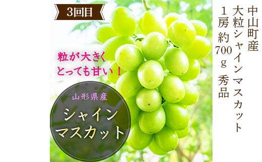 2026年6月発送開始 先行受付 山形県 至高のフルーツ！ 山形県中山町厳選フルーツ定期便 全4回 さくらんぼ 桃 シャインマスカット ラ・フランス 山形県 中山町 F4A-0477