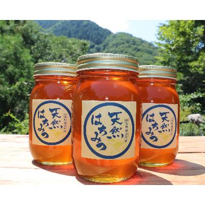 ふるさと納税 道志村 道志村産　天然はちみつ(600g×3本)