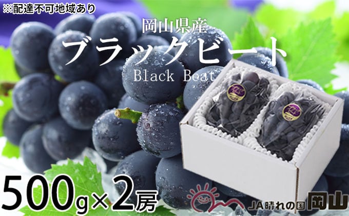 
                  ぶどう 2026年 先行予約 ブラックビート 約500g×2房 ブドウ 葡萄  岡山県産 国産 フルーツ 果物 ギフト 岡山のぶどう 岡山の果物 デザート 食後 種無し 大粒 甘味 酸味 バランス [№5735-1757]
                