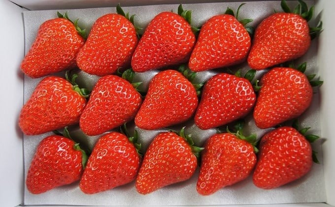 
            [№5720-0085]とりかいさん家のいちご園　紅ほっぺ　※期間・数量限定
          