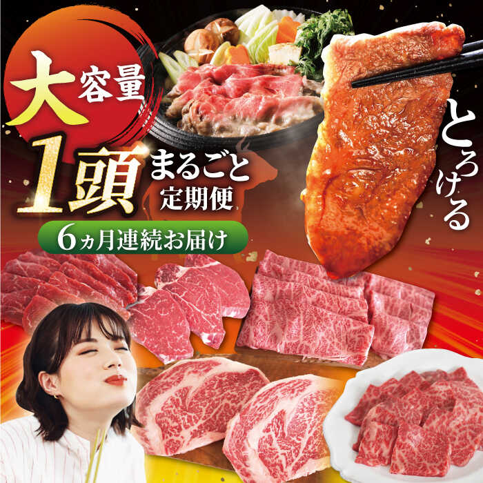 【ふるさと納税】 【牧場直送】 【6回定期便】 佐賀県産しろいし牛 1頭まるごと定期便2 【有限会社佐賀セントラル牧場】 和牛 肉 お肉 牛肉 ギフト 佐賀県 白石町 [IAH033]