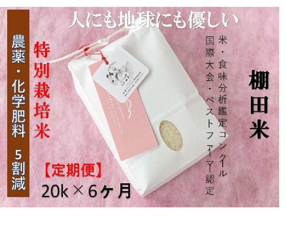 
            【2025年産新米】【6ヶ月定期便】【農薬化学肥料5割減】魚沼コシヒカリ 苗場プリンセス 特別栽培米 精米 20kg （20kg×1袋） 計120kg
          