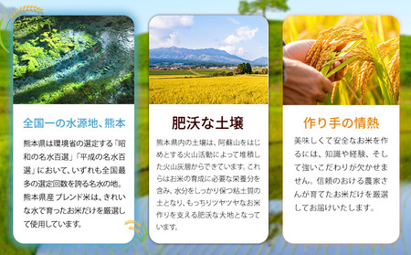 【3ヶ月定期便】熊本県産 肥後清流米 無洗米 20kg ブレンド米 熊本県産 ふるさと納税 精米 米 こめ ふるさとのうぜい コメ お米 おこめ《お申込み月の翌月から発送予定》