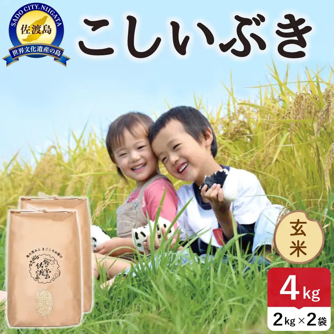 令和8年産 佐渡島産 新之助 玄米4kg