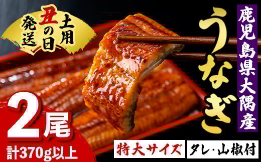 
            A57003 《先行予約受付中！土用の丑の日発送》うなぎ蒲焼(有頭)(2尾・計370g以上、タレ、山椒付) 鹿児島 国産 大隅産 鰻 うなぎ ウナギ 蒲焼き うな丼 うな重 ひつまぶし 丑の日発送 土用の丑の日 化粧箱 贈答 【一般社団法人きもつき宇宙協議会】
          