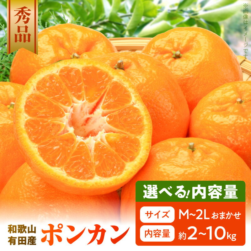 【ふるさと納税】和歌山 有田産 ポンカン 秀品 選べる 内容量 2kg ～ 10kg M L 2L サイズ いずれか 和歌山県 有田地方 温暖 柑橘類 栽培 適した地域 根強い 人気 代表的 品種 みかん 強い 甘み 酸味 バランス 香り豊か 寒い冬 ぴったり 柑橘 フルーツ 果物 お取り寄せ