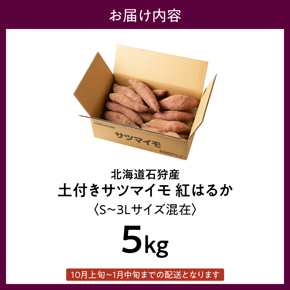 【先行予約】石狩産 土付サツマイモ 紅はるか（S～3Lサイズ混在） 5kg【10月発送】 | さつまいも サツマイモ 芋 北海道 石狩市_is106-002-000