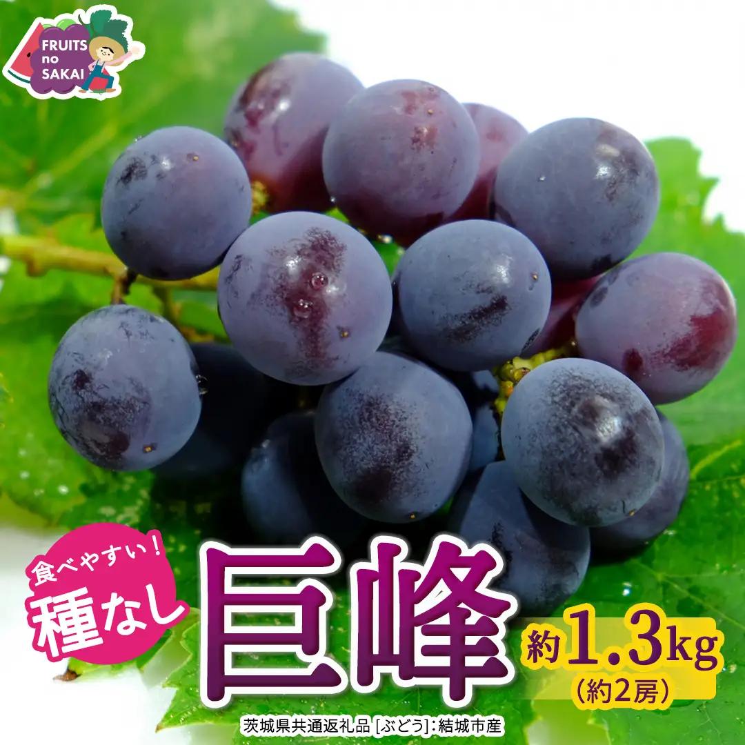 種なし 巨峰 約1.3kg(約2房)【2026年7月より発送開始】（茨城県共通返礼品 [ぶどう]：結城市産） │ ぶどう 種なし巨峰 フルーツ デザート 果物 食べやすい 旬