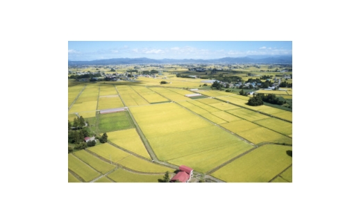 令和7年産　山形県産　つや姫　無洗米　2kg【1746639】