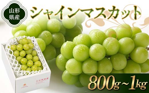 《先行予約 2025年度発送》シャインマスカット 800g～1kg  マスカット ぶどう ブドウ 葡萄 デザート フルーツ 果物 くだもの 果実 食品 山形県 FSY-1859