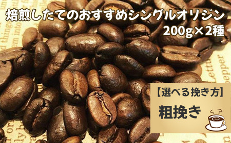 No.170-02 焙煎したてのおすすめシングルオリジン 200g×2種（粗挽き）