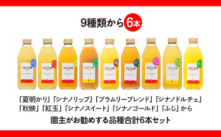 果汁100％ジュースで味わう 品種別 リンゴジュース 園主お任せ 小瓶 6本 セット 詰め合わせ 園主お勧め りんご 林檎 アップル アップルジュース ミックスジュース 無添加 飲料 飲料類 甘い 豊