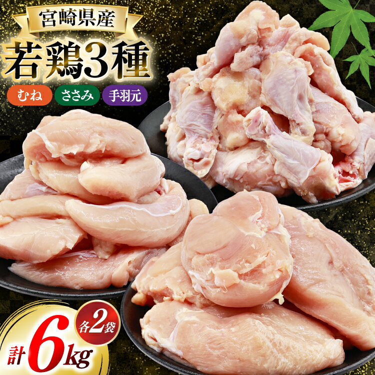 【ふるさと納税】 鶏肉 詰め合わせ 宮崎県産 むね肉 ささみ 手羽元 セット 各 1kg 2p 計 6kg [九州児湯フーズ 宮崎県 美郷町 31ai0022] 肉 精肉 鳥肉 とり肉 鳥 鶏 若鶏 むね ムネ肉 ムネ ササミ 手羽 真空パック 冷凍 冷凍保存 小分け