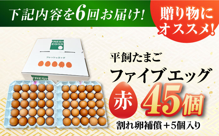 【6回定期便】【お得な箱入り】平飼たまご ファイブエッグ M～Lサイズ 50個 / 5EGG 卵 赤玉子 五島市 / 五島列島大石養鶏場 [PFQ043]