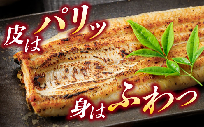 ＜諫早淡水＞うなぎ白焼き6尾 / うなぎ ウナギ 鰻 白焼き 白焼 しらやき 冷凍 丑の日 土用の丑の日 国産 小分け / 諫早市 / 活うなぎ問屋 諫早淡水 [AHAT013]