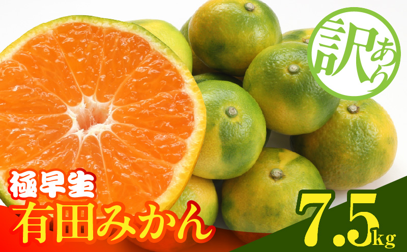 MK1083_【2026年先行予約】訳あり みかん 極早生 箱込 7.5kg ( 内容量 6.8kg ) サイズミックス 有田みかん 和歌山県産